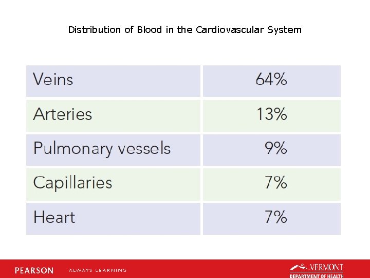 Distribution of Blood in the Cardiovascular System 