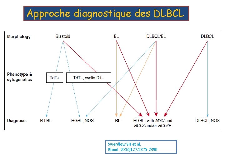 Approche diagnostique des DLBCL Swerdlow SH et al. Blood. 2016; 127: 2375 -2390 