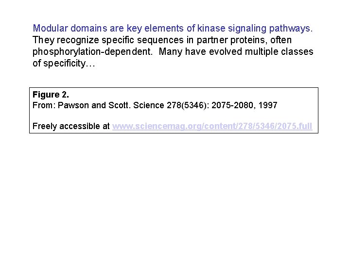 Modular domains are key elements of kinase signaling pathways. They recognize specific sequences in