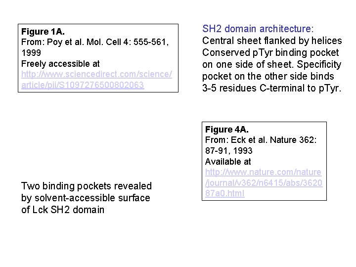 Figure 1 A. From: Poy et al. Mol. Cell 4: 555 -561, 1999 Freely