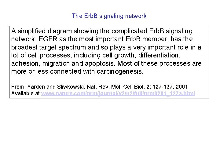 The Erb. B signaling network A simplified diagram showing the complicated Erb. B signaling