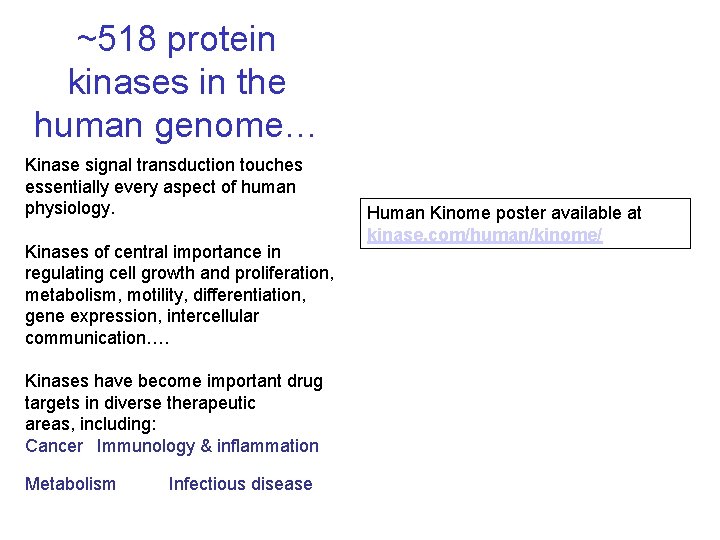 ~518 protein kinases in the human genome… Kinase signal transduction touches essentially every aspect