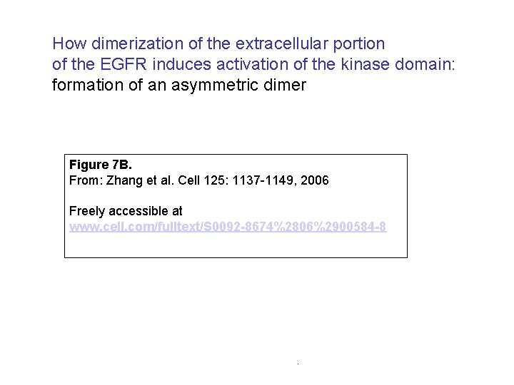 How dimerization of the extracellular portion of the EGFR induces activation of the kinase