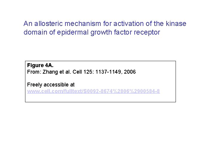 An allosteric mechanism for activation of the kinase domain of epidermal growth factor receptor