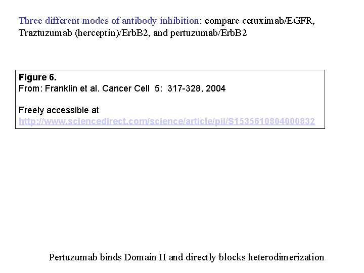 Three different modes of antibody inhibition: compare cetuximab/EGFR, Traztuzumab (herceptin)/Erb. B 2, and pertuzumab/Erb.