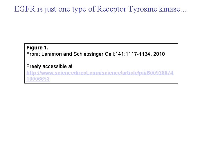 EGFR is just one type of Receptor Tyrosine kinase… Figure 1. From: Lemmon and