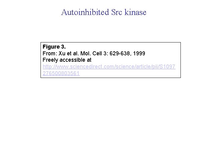 Autoinhibited Src kinase Figure 3. From: Xu et al. Mol. Cell 3: 629 -638,