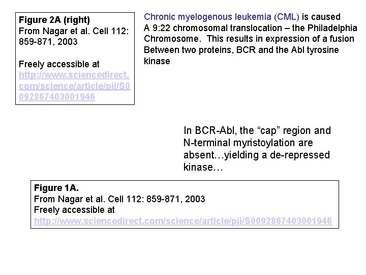 Figure 2 A (right) From Nagar et al. Cell 112: 859 -871, 2003 Freely