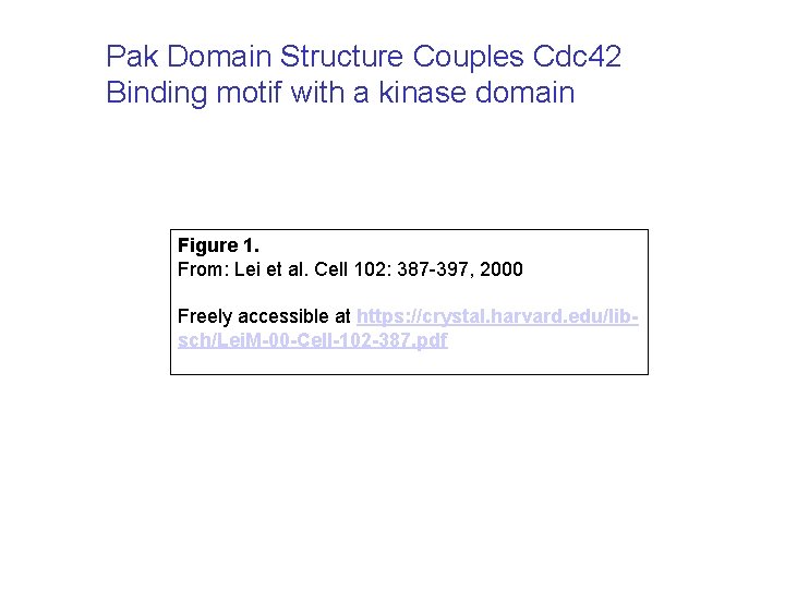 Pak Domain Structure Couples Cdc 42 Binding motif with a kinase domain Figure 1.