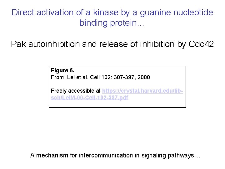 Direct activation of a kinase by a guanine nucleotide binding protein… Pak autoinhibition and