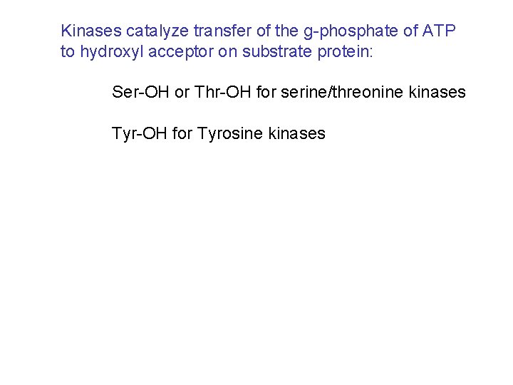 Kinases catalyze transfer of the g-phosphate of ATP to hydroxyl acceptor on substrate protein: