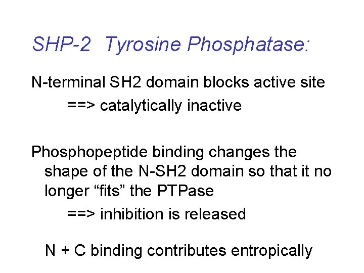 SHP-2 Tyrosine Phosphatase: N-terminal SH 2 domain blocks active site ==> catalytically inactive Phosphopeptide