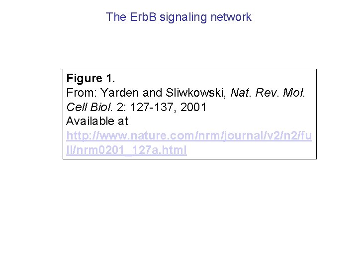 The Erb. B signaling network Figure 1. From: Yarden and Sliwkowski, Nat. Rev. Mol.