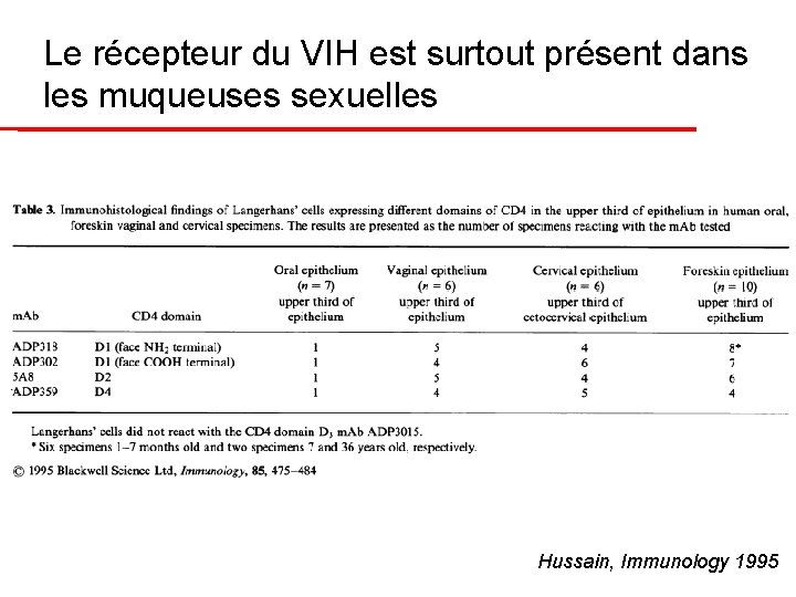 Le récepteur du VIH est surtout présent dans les muqueuses sexuelles Hussain, Immunology 1995