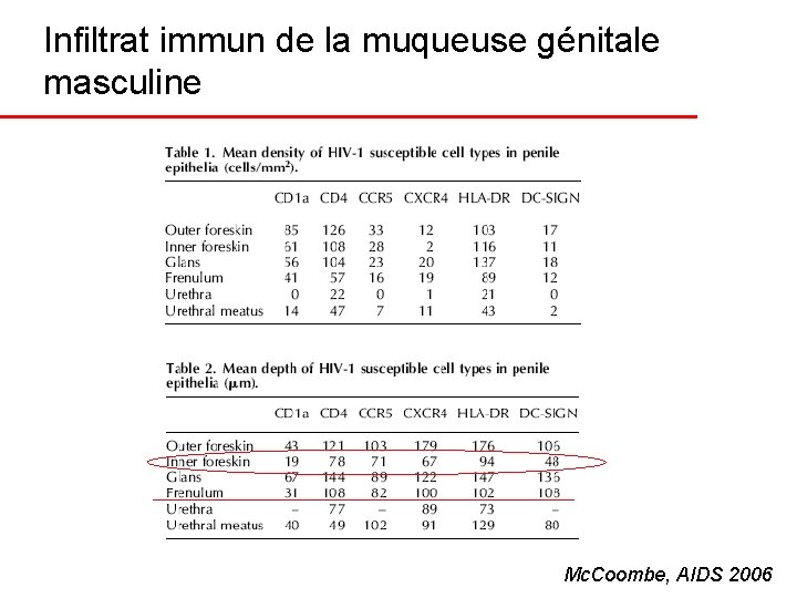 Infiltrat immun de la muqueuse génitale masculine Mc. Coombe, AIDS 2006 