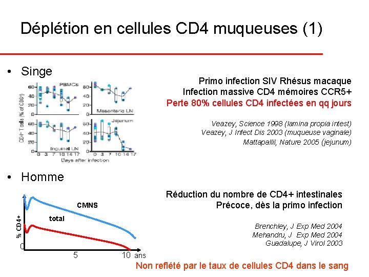 Déplétion en cellules CD 4 muqueuses (1) • Singe Primo infection SIV Rhésus macaque