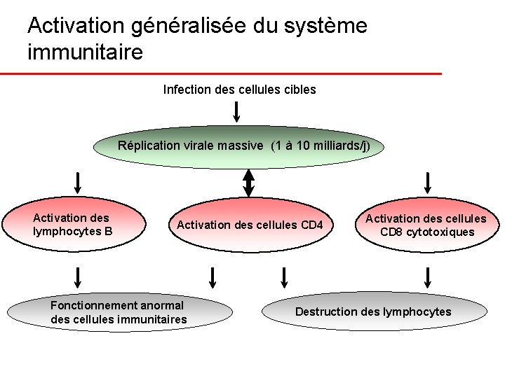 Activation généralisée du système immunitaire Infection des cellules cibles Réplication virale massive (1 à