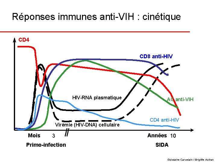 Réponses immunes anti-VIH : cinétique CD 4 CD 8 anti-HIV HIV-RNA plasmatique Virémie (HIV-DNA)