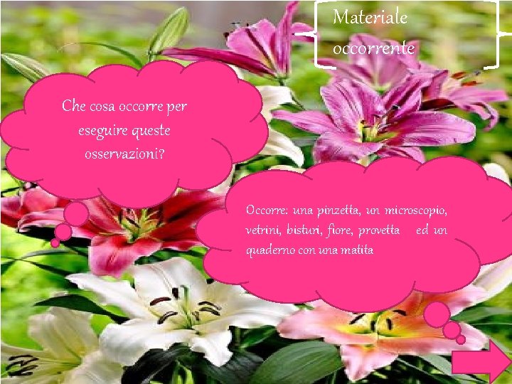 Materiale occorrente Che cosa occorre per eseguire queste osservazioni? Occorre: una pinzetta, un microscopio,