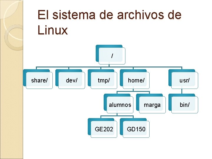 El sistema de archivos de Linux / share/ dev/ tmp/ home/ alumnos GE 202 El sistema de archivos de Linux / share/ dev/ tmp/ home/ alumnos GE 202