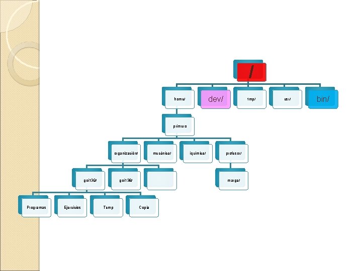 / dev/ home/ tmp/ primero organización/ goi 139/ Programas Ejercicios mecánica/ goi 138/ Temp / dev/ home/ tmp/ primero organización/ goi 139/ Programas Ejercicios mecánica/ goi 138/ Temp