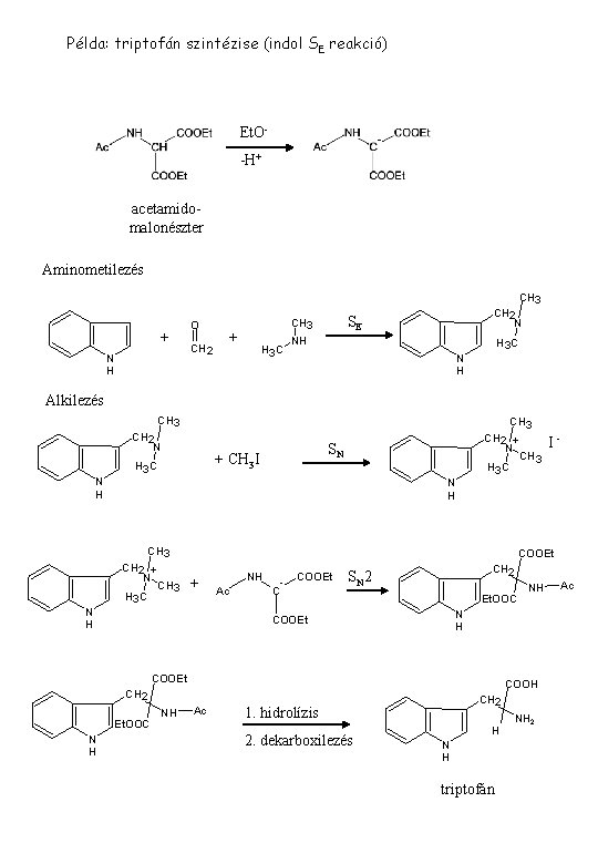 Példa: triptofán szintézise (indol SE reakció) Et. O-H+ acetamidomalonészter Aminometilezés CH 3 + N