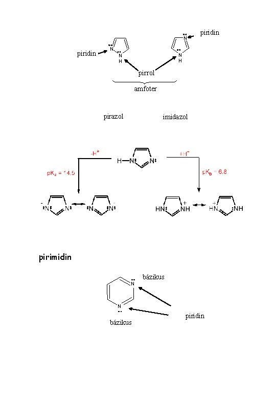 N piridin N N H pirrol amfoter pirazol imidazol pirimidin bázikus N N bázikus