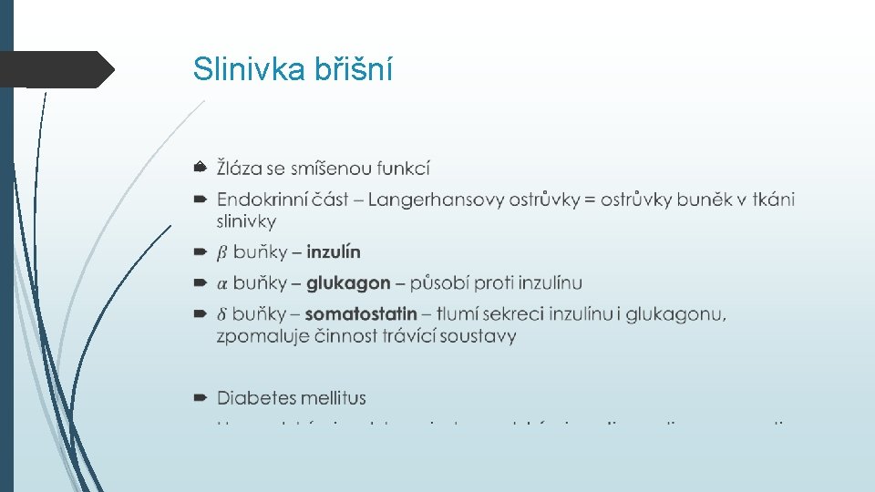 Slinivka břišní 
