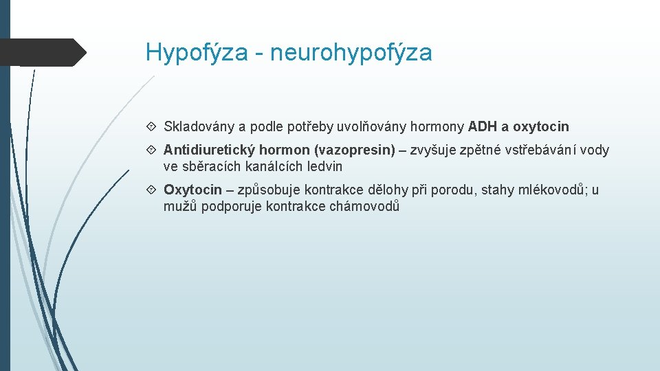 Hypofýza - neurohypofýza Skladovány a podle potřeby uvolňovány hormony ADH a oxytocin Antidiuretický hormon