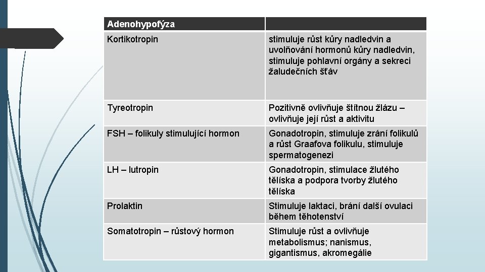 Adenohypofýza Kortikotropin stimuluje růst kůry nadledvin a uvolňování hormonů kůry nadledvin, stimuluje pohlavní orgány