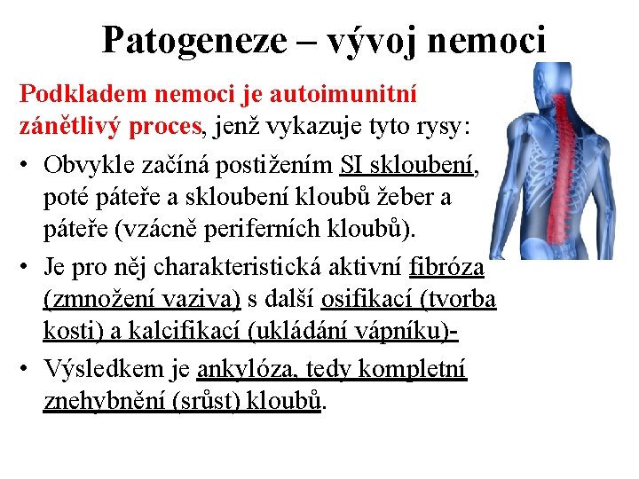 Patogeneze – vývoj nemoci Podkladem nemoci je autoimunitní zánětlivý proces, jenž vykazuje tyto rysy: