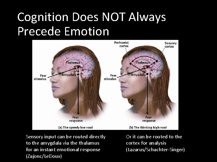 Cognition Does NOT Always Precede Emotion Sensory input can be routed directly to the