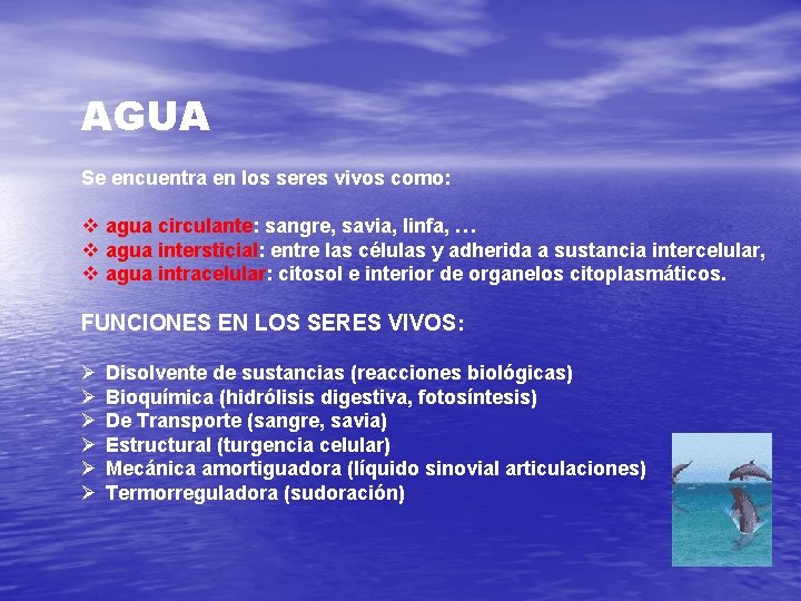 AGUA Se encuentra en los seres vivos como: v agua circulante: sangre, savia, linfa,