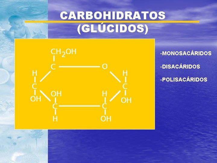 CARBOHIDRATOS (GLÚCIDOS) CH 2 OH H C OH C -MONOSACÁRIDOS O OH H C