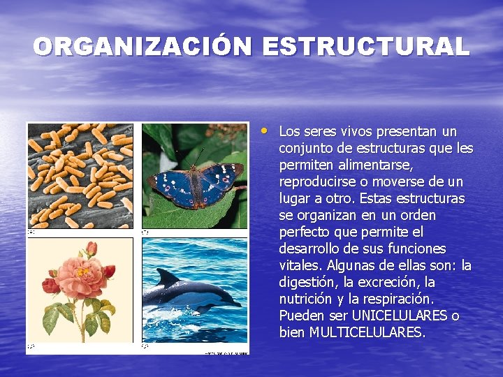 ORGANIZACIÓN ESTRUCTURAL • Los seres vivos presentan un conjunto de estructuras que les permiten