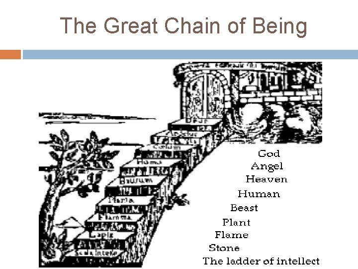 The Great Chain of Being 
