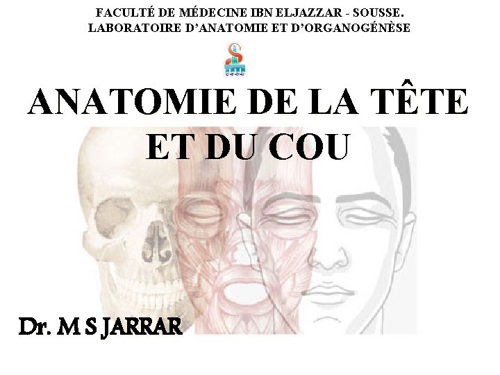 FACULTÉ DE MÉDECINE IBN ELJAZZAR - SOUSSE. LABORATOIRE D’ANATOMIE ET D’ORGANOGÉNÈSE ANATOMIE DE LA