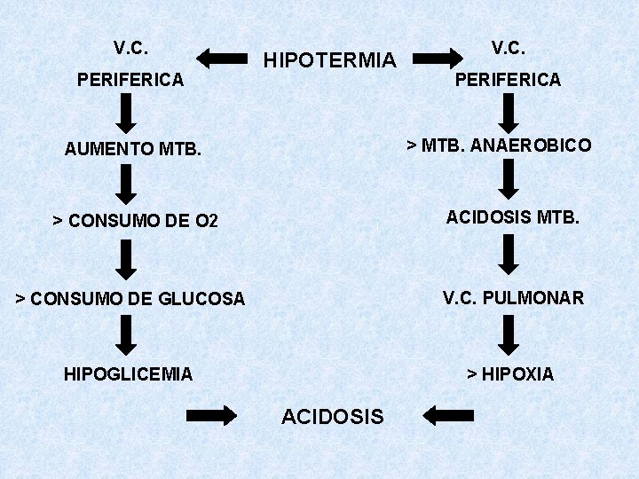 V. C. PERIFERICA HIPOTERMIA V. C. PERIFERICA > MTB. ANAEROBICO AUMENTO MTB. > CONSUMO