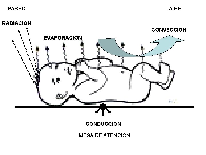 PARED AIRE RADIACION CONVECCION EVAPORACION CONDUCCION MESA DE ATENCION 
