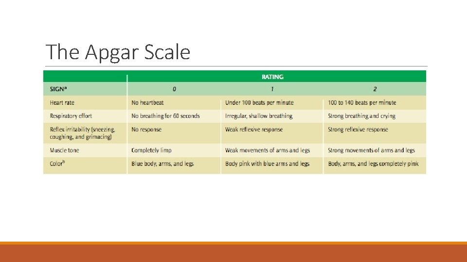The Apgar Scale 