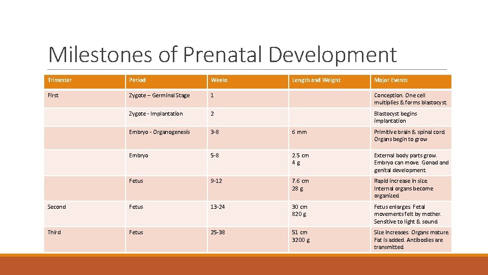 Milestones of Prenatal Development Trimester Period Weeks Length and Weight Major Events First Zygote