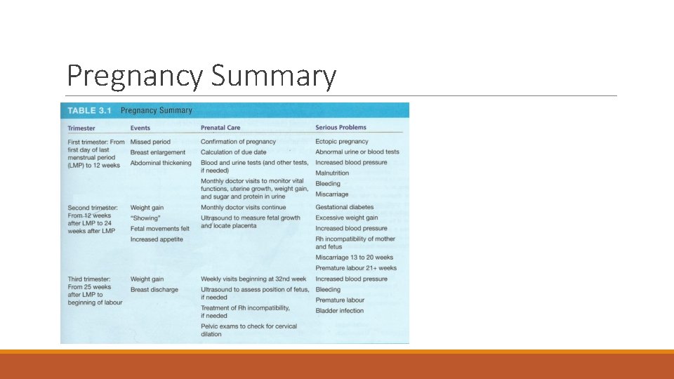 Pregnancy Summary 