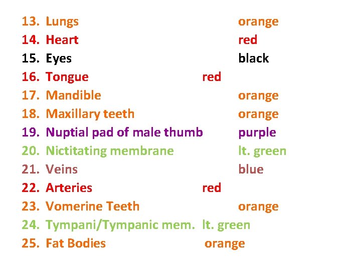 13. 14. 15. 16. 17. 18. 19. 20. 21. 22. 23. 24. 25. Lungs