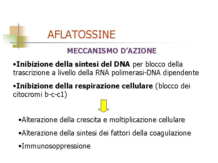 AFLATOSSINE MECCANISMO D’AZIONE • Inibizione della sintesi del DNA per blocco della trascrizione a
