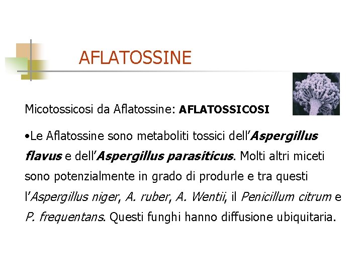 AFLATOSSINE Micotossicosi da Aflatossine: AFLATOSSICOSI • Le Aflatossine sono metaboliti tossici dell’Aspergillus flavus e