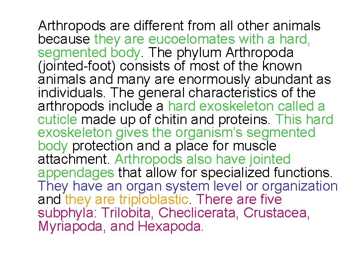 Arthropods are different from all other animals because they are eucoelomates with a hard,