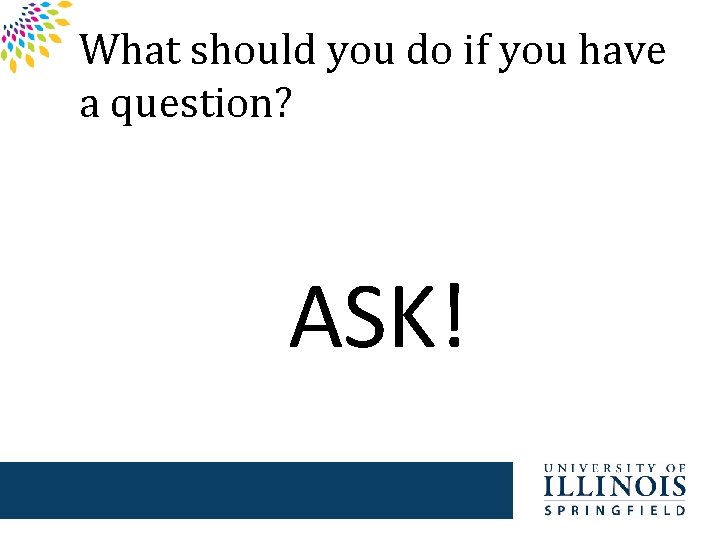 What should you do if you have a question? ASK! 