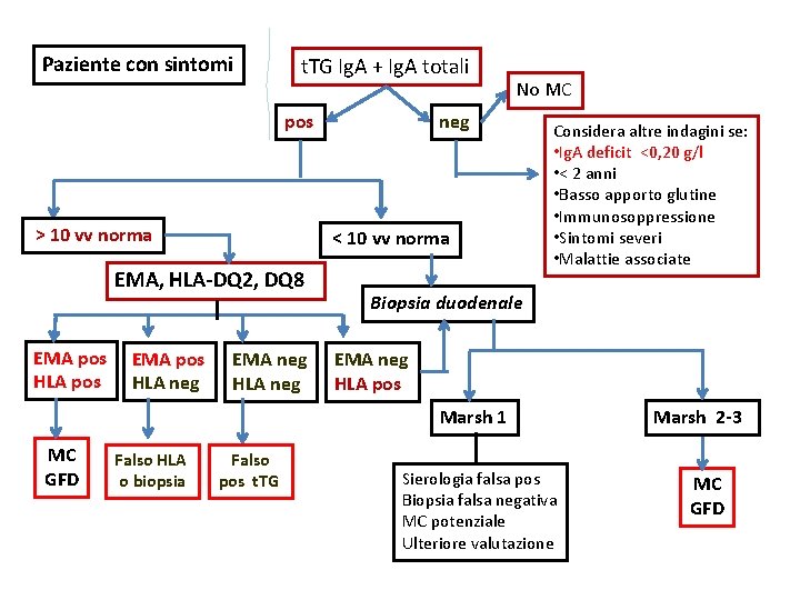 Paziente con sintomi t. TG Ig. A + Ig. A totali pos > 10