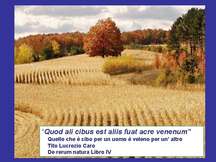 “Quod ali cibus est aliis fuat acre venenum” Quello che è cibo per un
