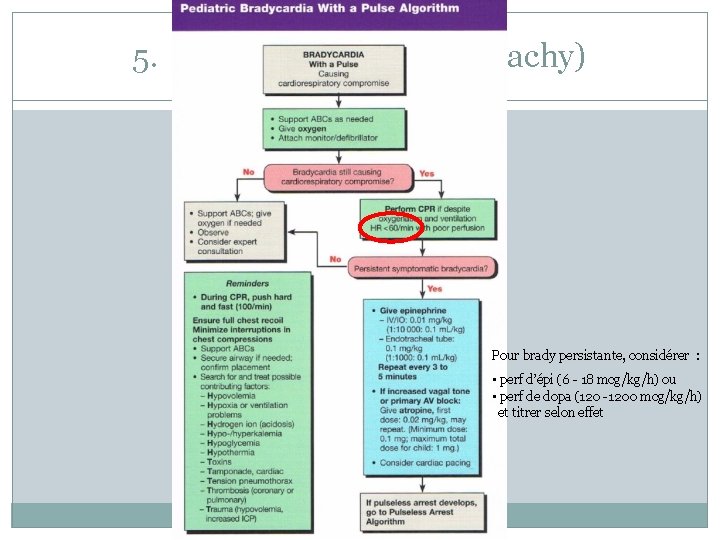 5. Les arythmies (brady/tachy) Pour brady persistante, considérer : • perf d’épi (6 -